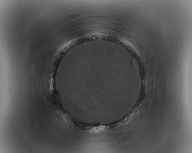 X0000088140822200705211134