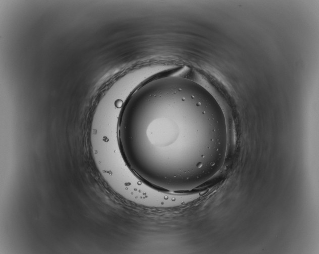 X0000088140824200705211134