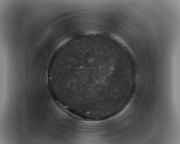 X0000088140825200705211134