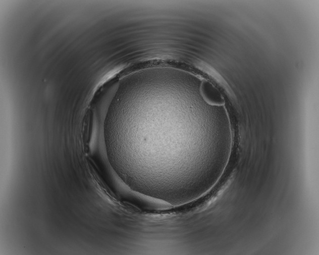 X0000088140826200705211134