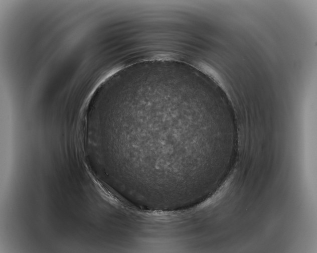 X0000088140827200705211134