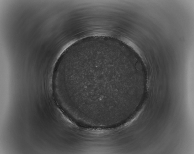 X0000088140829200705211134