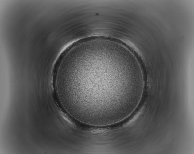 X0000088140830200705211134