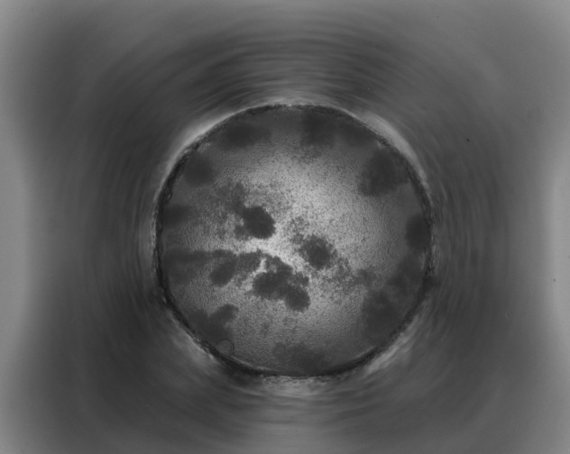 X0000088140831200705211134
