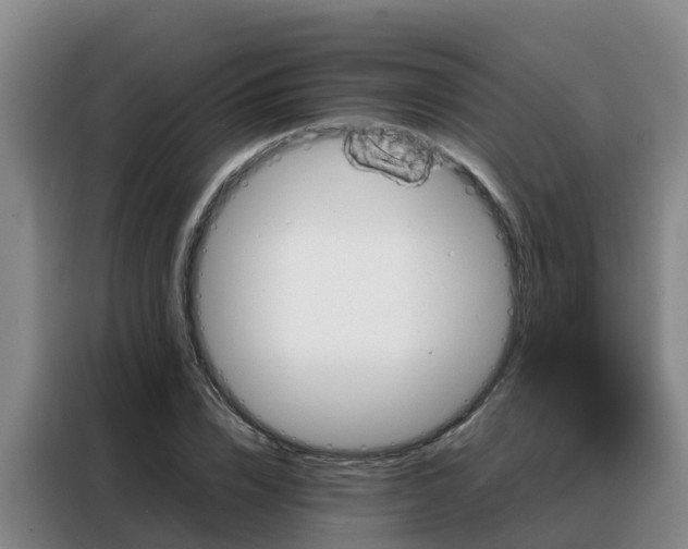 X0000088140832200705211134