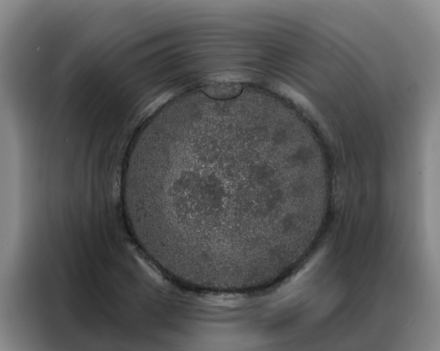 X0000088140833200705211134