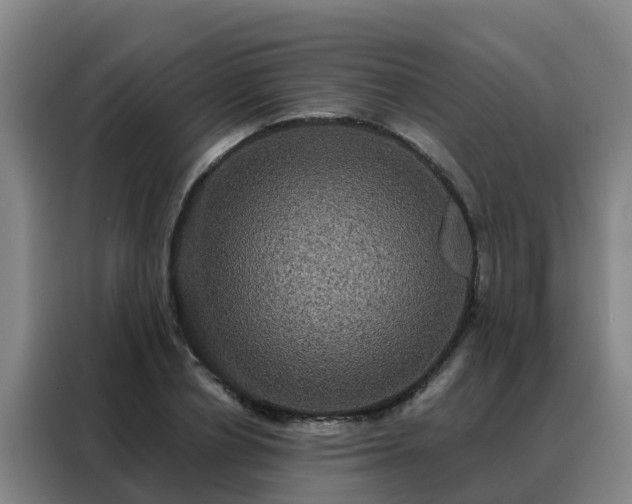 X0000088140834200705211134