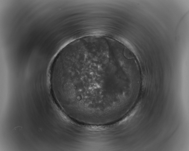 X0000088140835200705211134