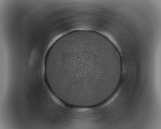 X0000088140837200705211134
