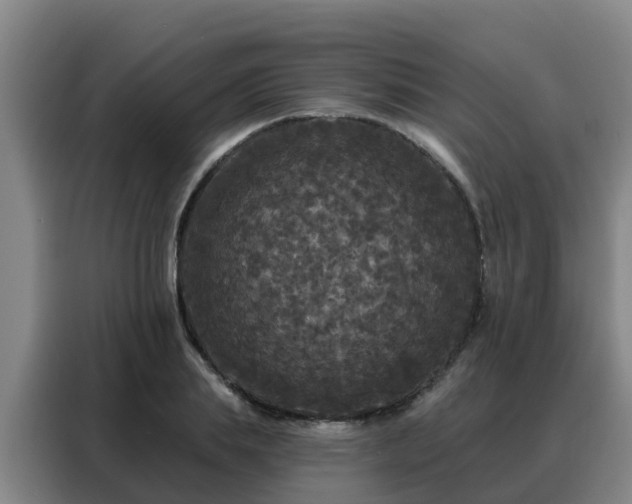 X0000088140839200705211134