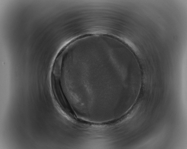 X0000088140840200705211134