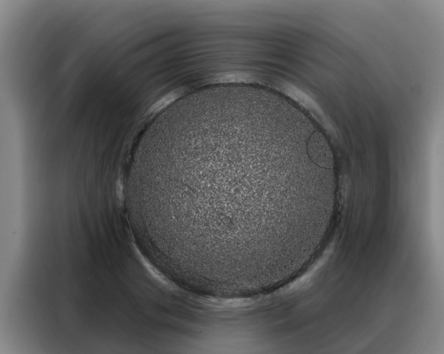 X0000088140841200705211134