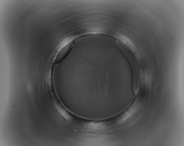 X0000088140842200705211134