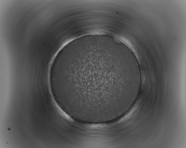 X0000088140843200705211134