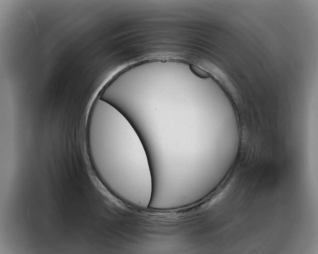 X0000088140844200705211134