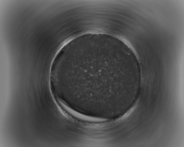 X0000088140845200705211134