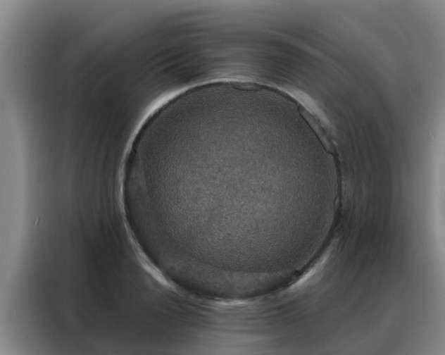 X0000088140846200705211134