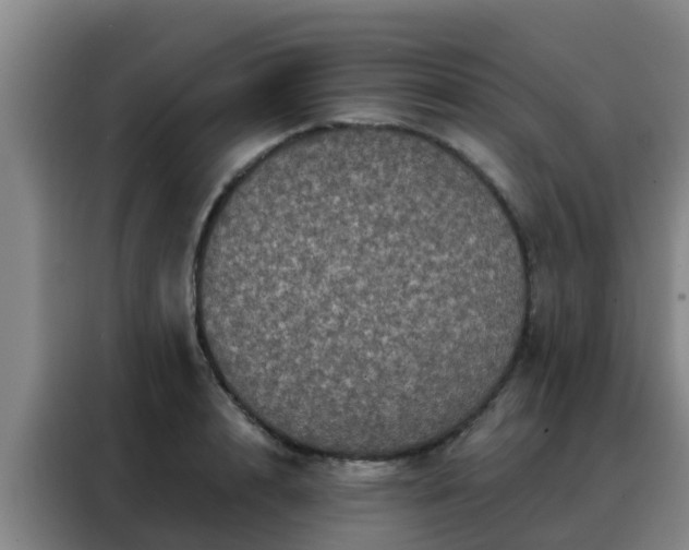 X0000088140848200705211134
