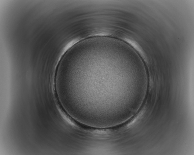 X0000088140850200705211134