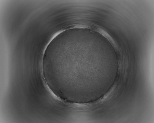 X0000088140852200705211134
