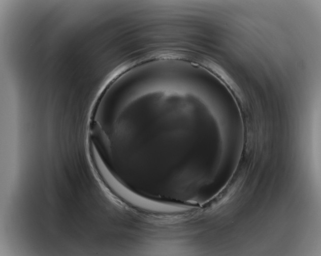 X0000088140853200705211134