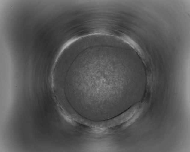 X0000088140854200705211134