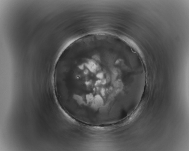 X0000088140855200705211134