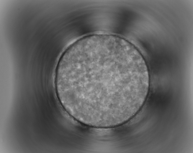 X0000088140856200705211134