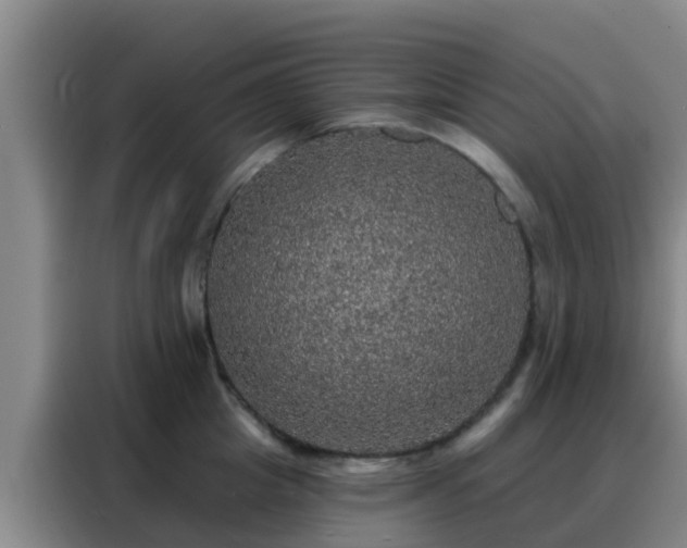 X0000088140857200705211134