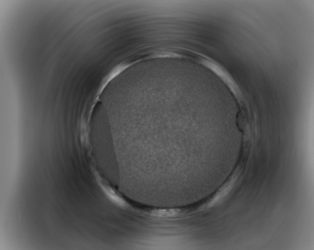 X0000088140858200705211134
