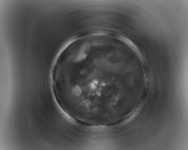 X0000088140859200705211134