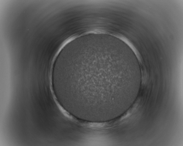 X0000088140861200705211134