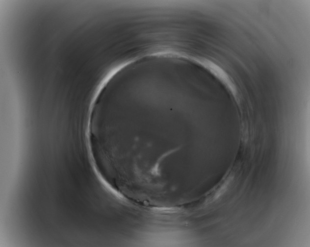 X0000088140863200705211134