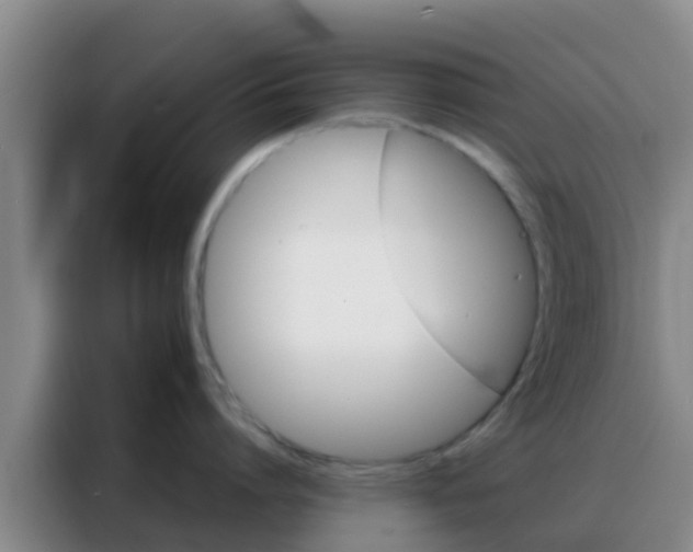 X0000088140864200705211134