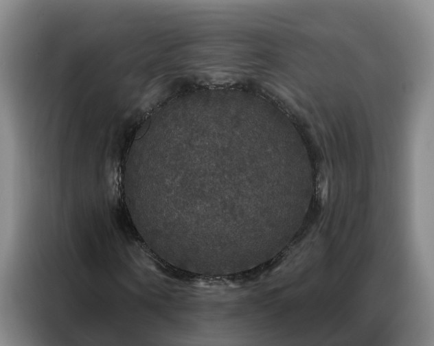 X0000088140866200705211134