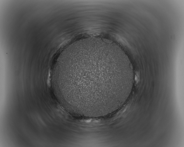 X0000088140867200705211134
