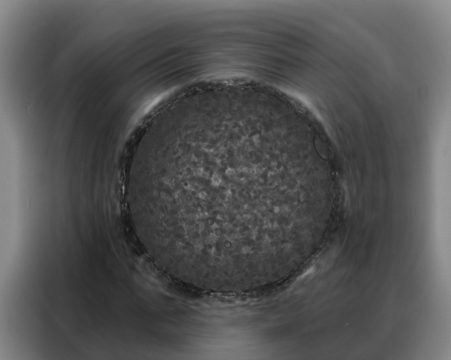 X0000088140871200705211134
