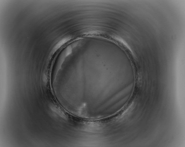 X0000088140874200705211134