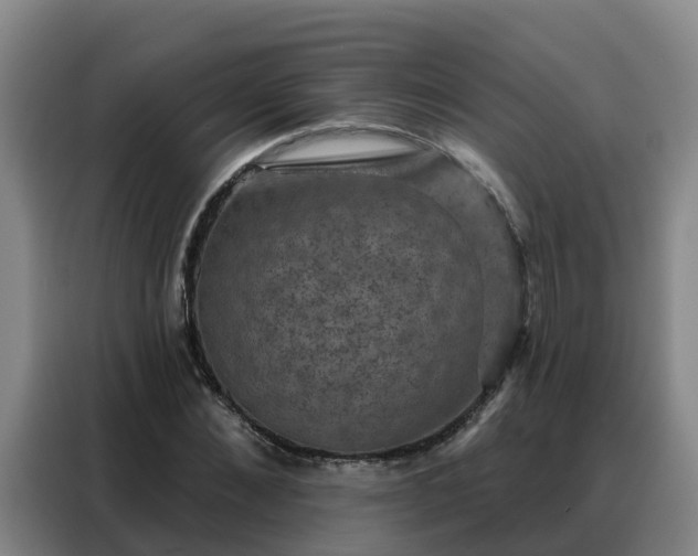 X0000088140876200705211134