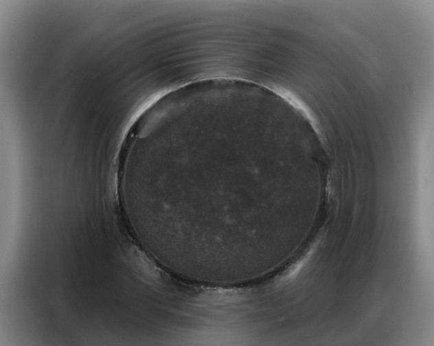 X0000088140877200705211134