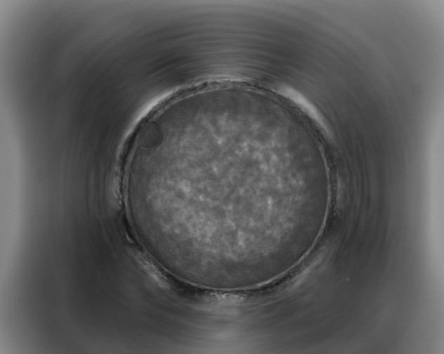 X0000088140878200705211134