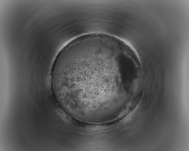 X0000088140879200705211133