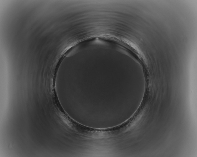 X0000088140881200705211133