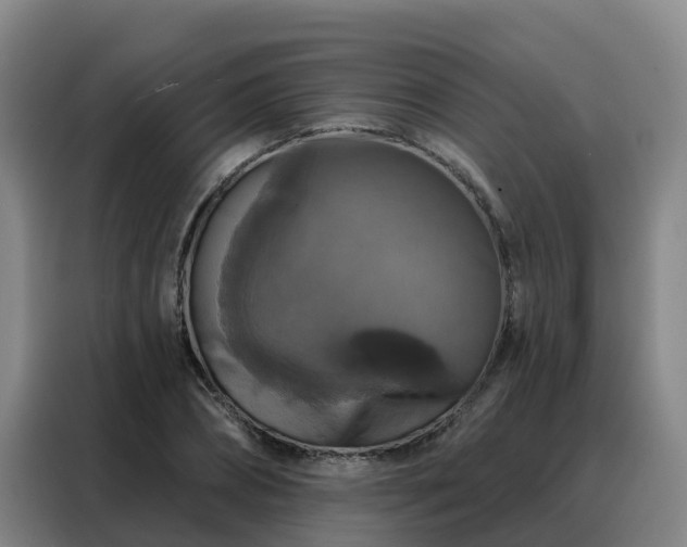 X0000088140882200705211133