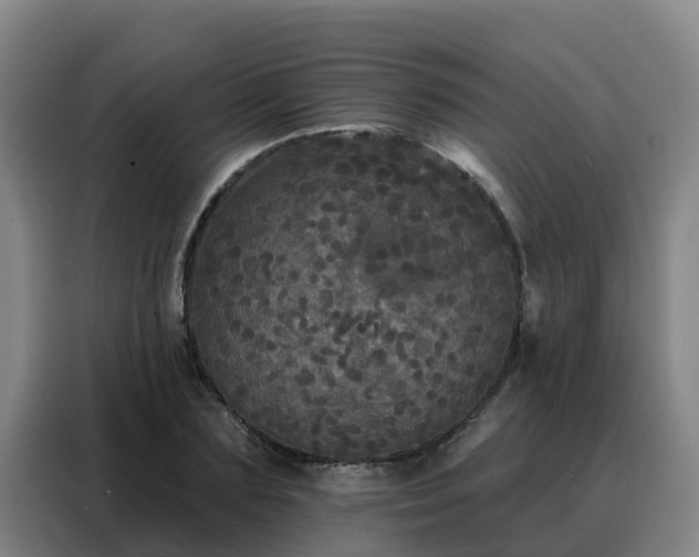 X0000088140883200705211133
