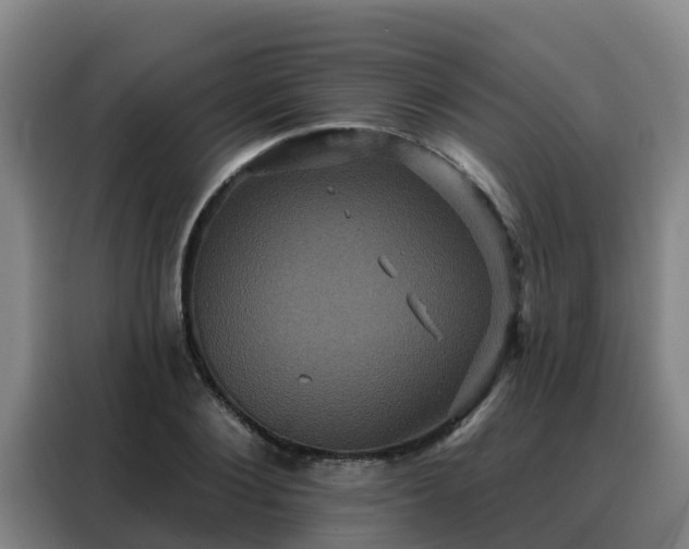X0000088140884200705211133