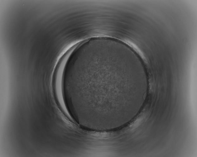 X0000088140885200705211133