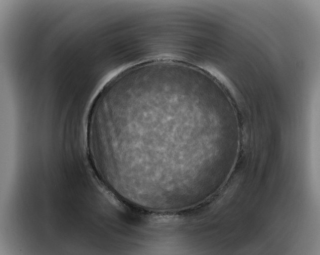 X0000088140886200705211133