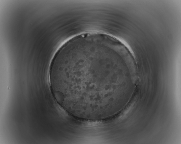 X0000088140887200705211133