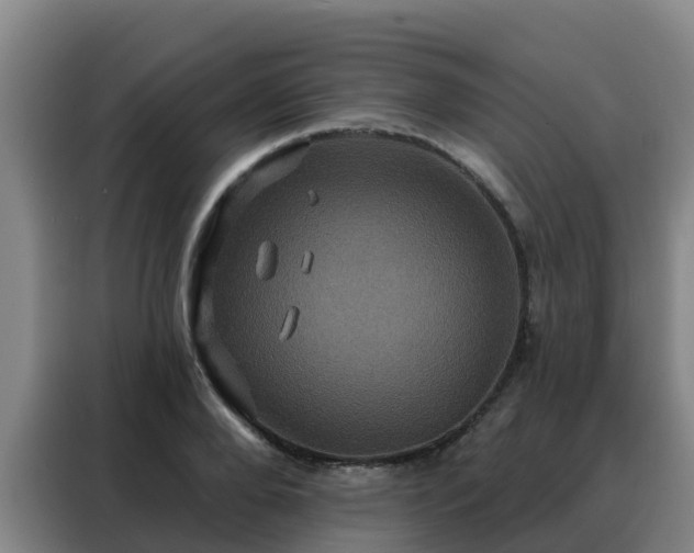X0000088140888200705211133